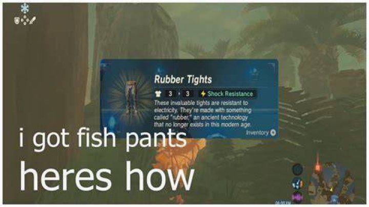 Are there rubber pants in Botw?