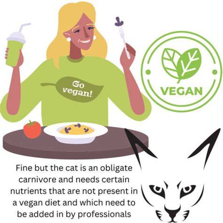 Can a cat become vegan?