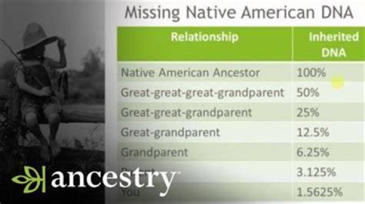 Can a DNA test tell you what tribe you are from?