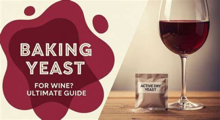 Can I use bakers yeast to make wine?