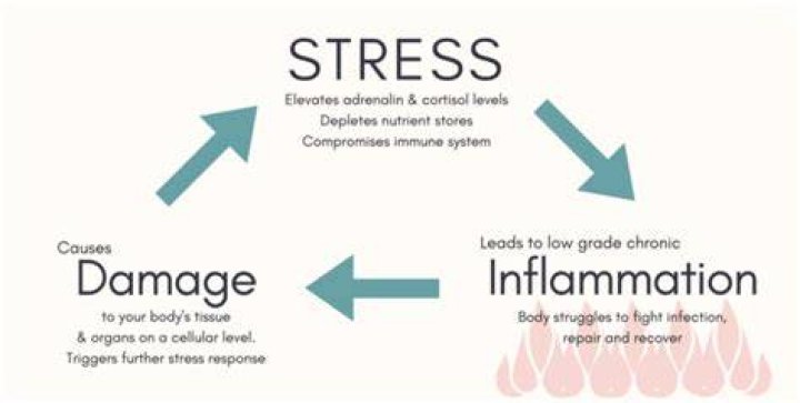 Can stress cause inflammation in joints?
