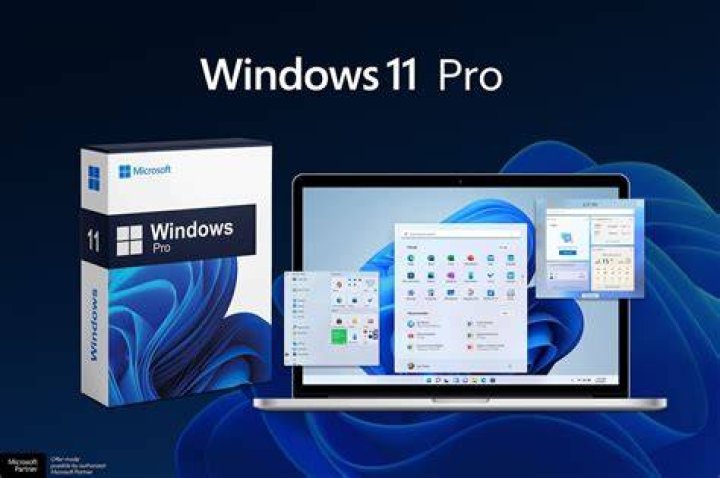 Can Windows 10 Pro be upgraded to Windows 11 pro?