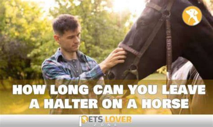 Can you leave a horse for a week?