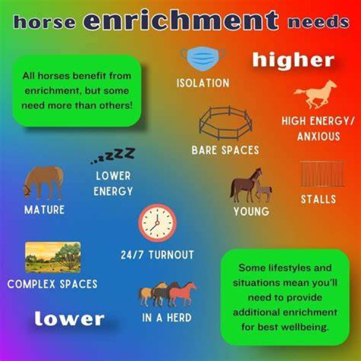 Do horses need a lot of attention?