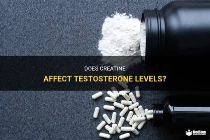 Does creatine affect testosterone?