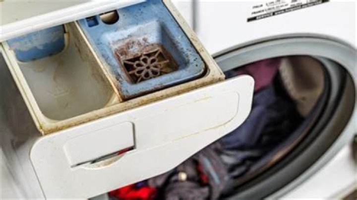 Does fabric softener cause mold in washer?
