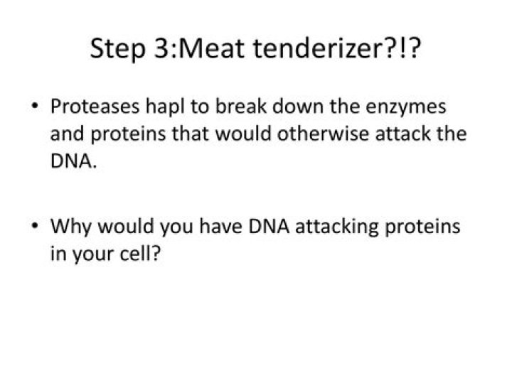 Does meat have DNA?