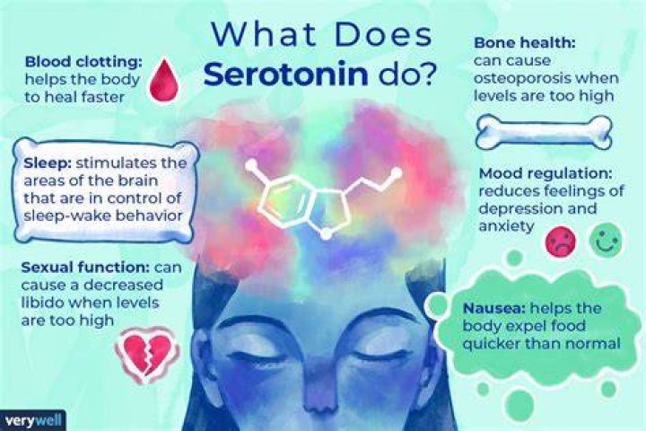 Does serotonin make you sleepy or awake?