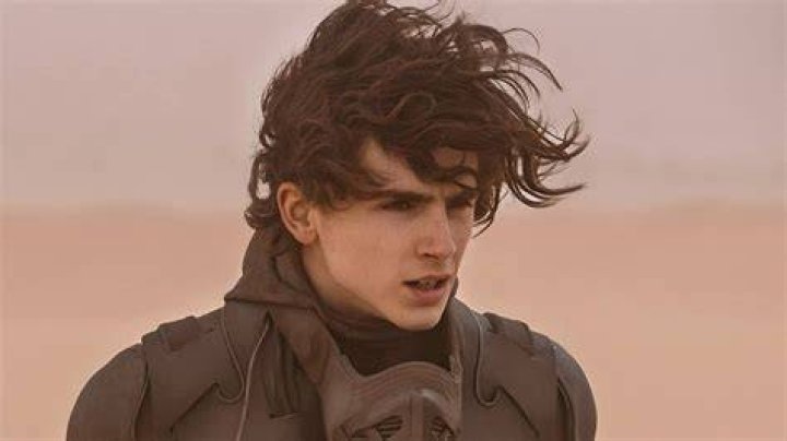 How did Vladimir survive Dune?