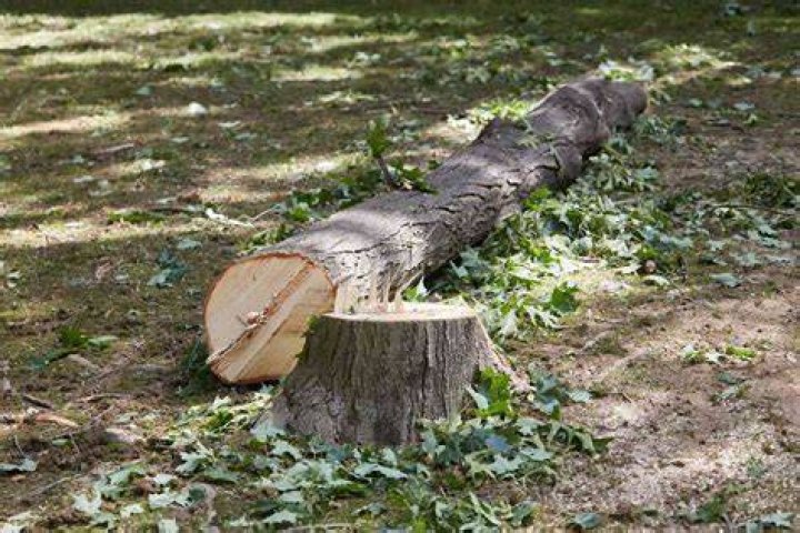 How do guys cut down there?