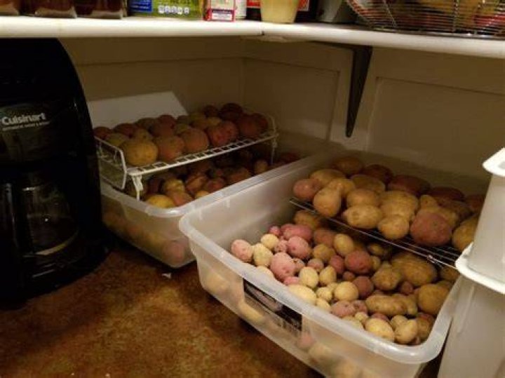 How do you store potatoes in the refrigerator?
