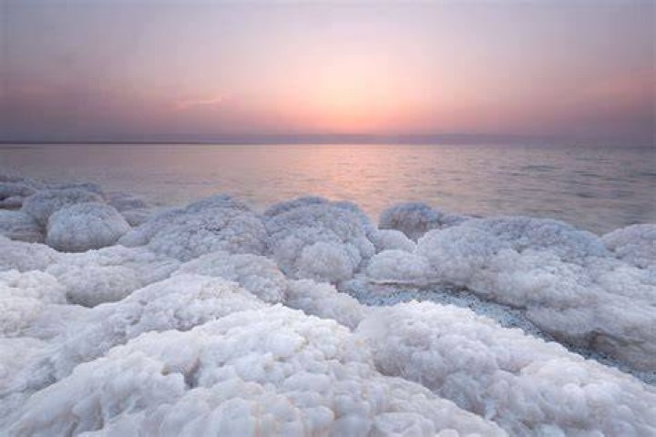How does Salt to the Sea end?