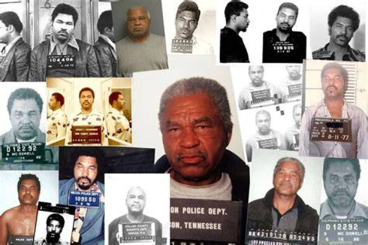 How many African American serial killers are there?