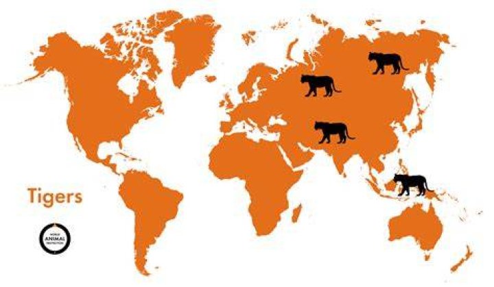 Were there tigers in England?