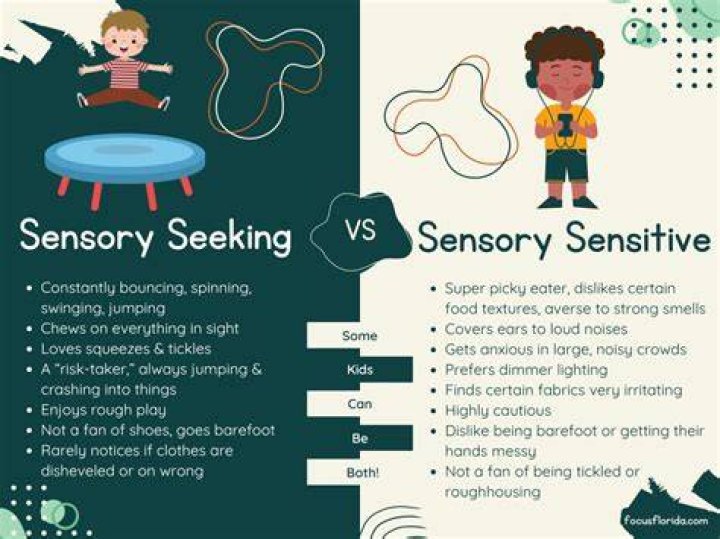 What are sensory seeking behaviors?