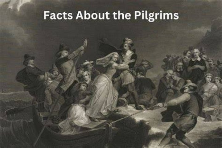 What are two facts about the Pilgrims?