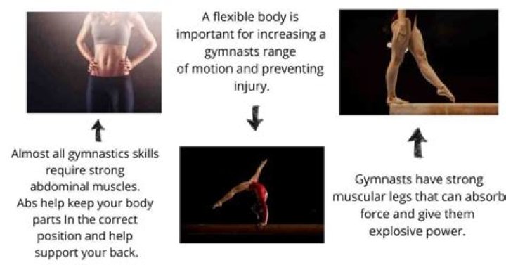 What body type do gymnasts have?