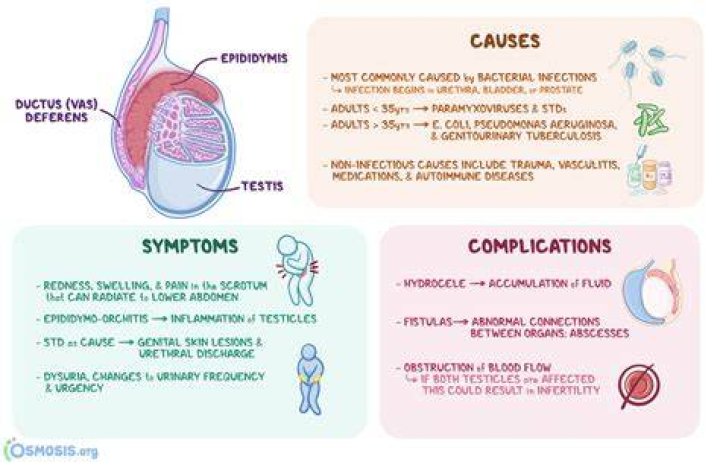 What causes inflammation of testes?