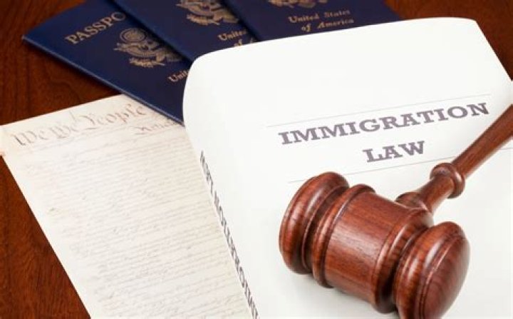 What happens if you lie to immigration?