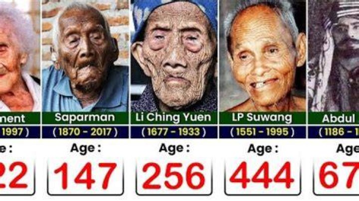 What is a 100 year old person called?