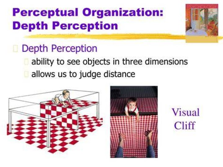 What is lack of depth perception called?