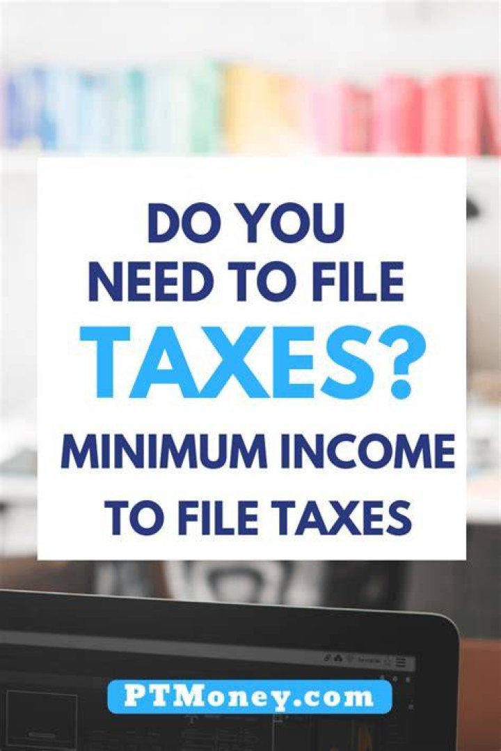 What is the minimum income to file taxes for 2021?