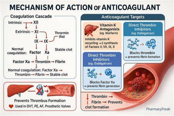 What is the strongest natural anticoagulant?
