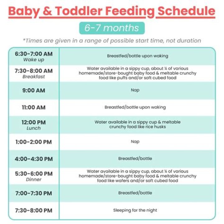 What should a 7 month olds eating schedule look like?