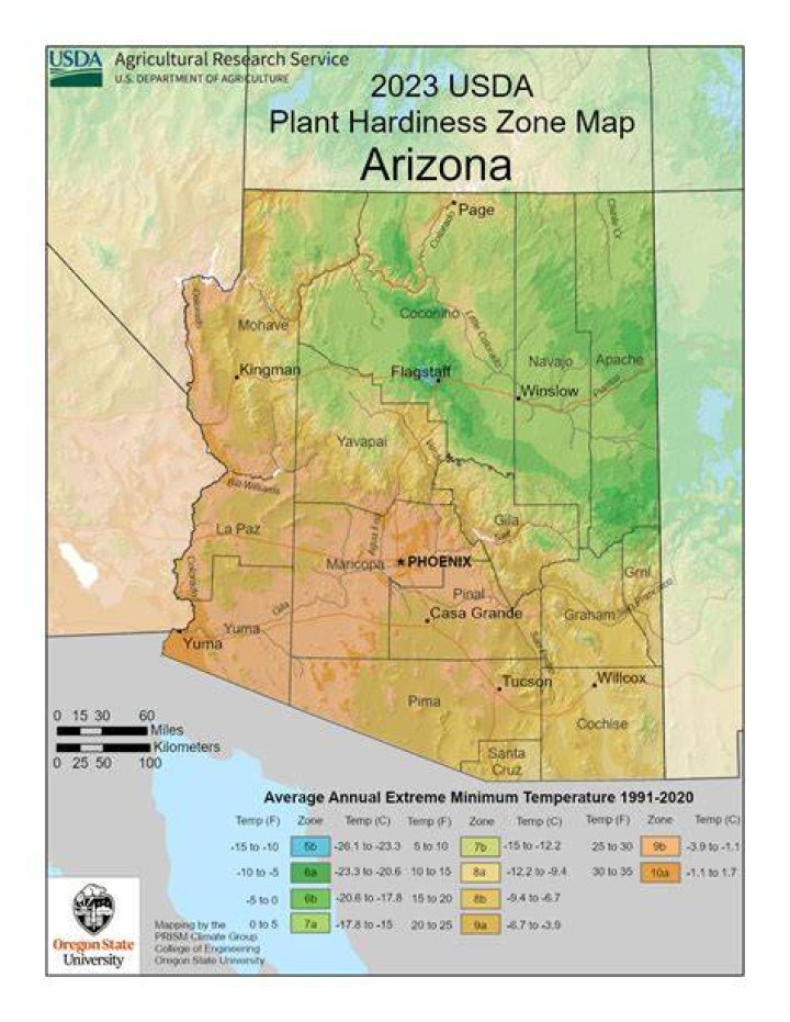 What zone is Phoenix Arizona?