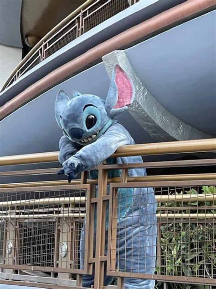 Where can I find Stitch in Disney World?