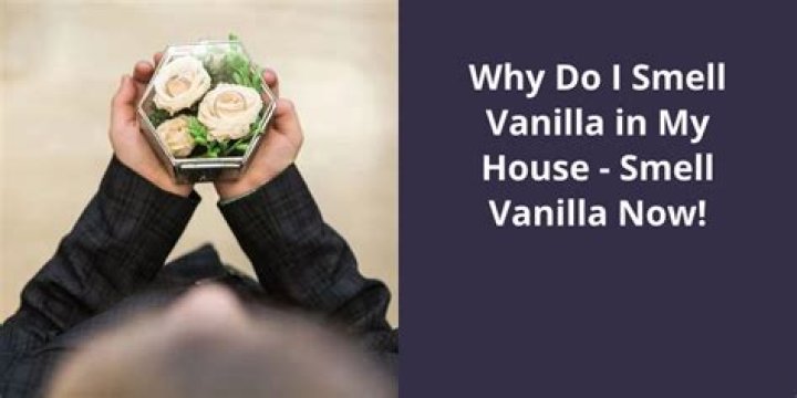 Why does vanilla smell so good?