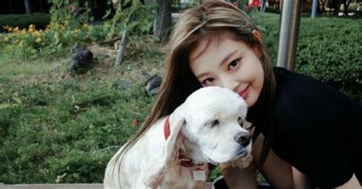 Why is Jennie's dog named Kai?