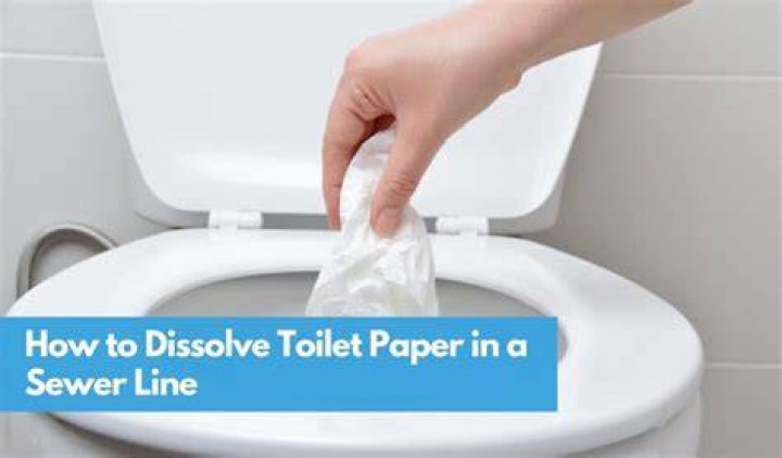 Will vinegar dissolve toilet paper?